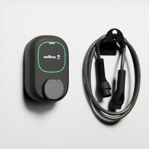 PULSAR Plus socket