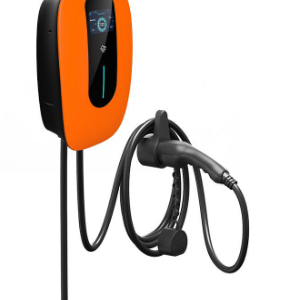 rounded orange